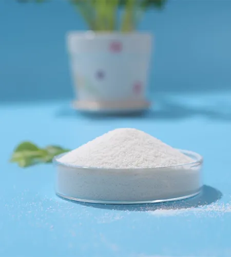 Calcium Stearate in the Plastic Industry: Enhancing Processing and Performance