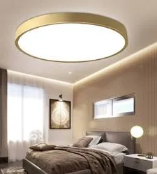 Ceiling Light For Bedroom | Led Flush Mount Ceiling Light With Frosted White Glass Shade