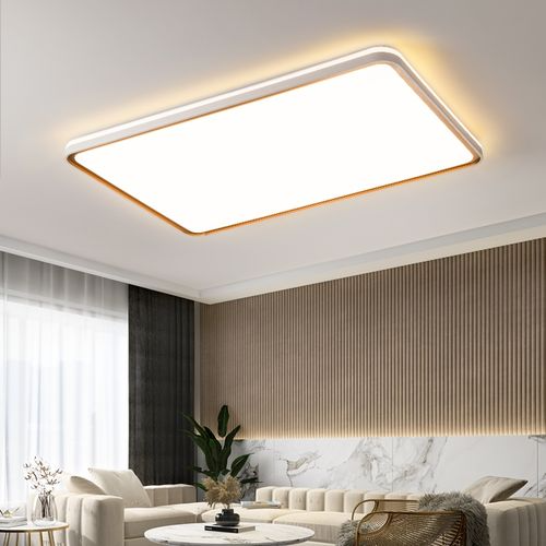 About Ceiling Light Introduction