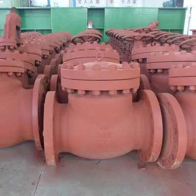 Swing Check Valve