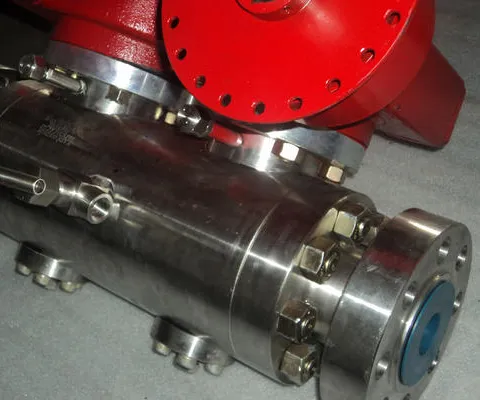 Swing check valve