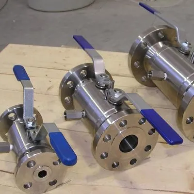 Double block & bleed plug valve