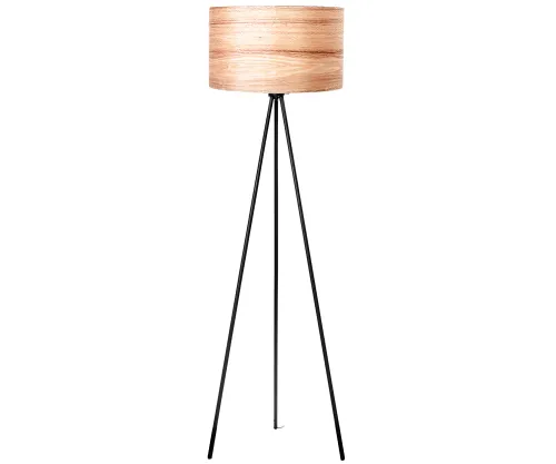 The function of the floor lamp