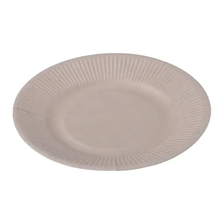 Party Supplies 8 Inch Biodegradable Round Sugarcane Bagasse Plate