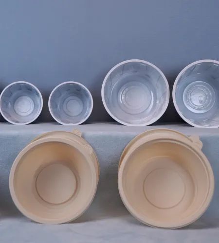 Lightweight and Stackable: Embracing the Practicality of Disposable Plastic Bowls