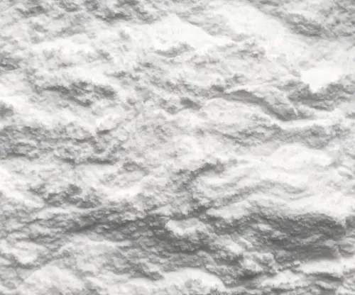 Main Components of Thaumatin Powder