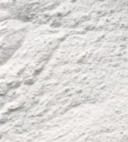 Thaumatin Powder Producer | Thaumatin Powder Supplier