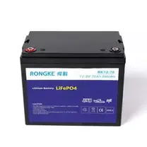 wat is lfp batterij?