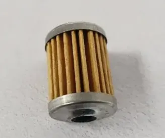 About the gasoline filter in the fuel filter subdivision
