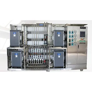 200LPH EDI Salt Sea Water Treatment Desalination Electric Plant Brackish Desalinate Ro System Machine
