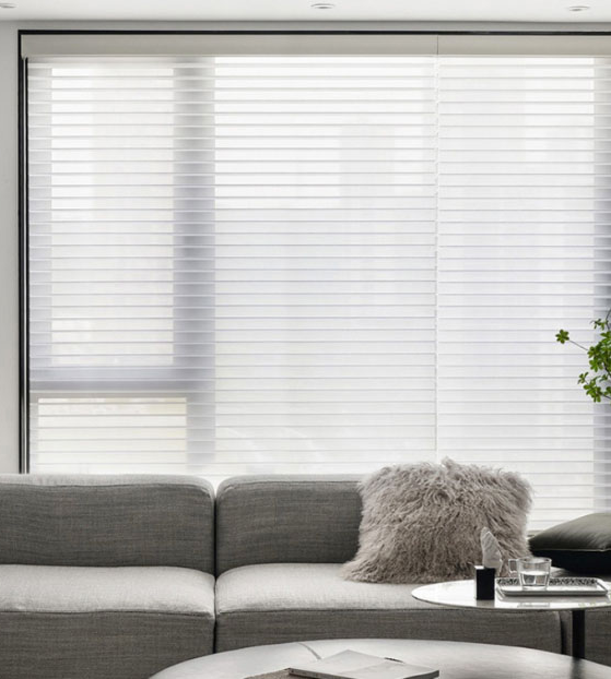 Control Your Blinds with Voice Commands