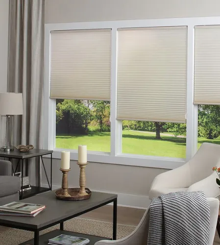Complete Privacy: Blackout Blinds