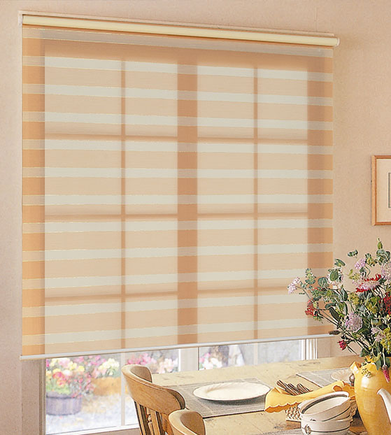 Elevate Your Space with Sleek and Stylish Zebra Blinds.