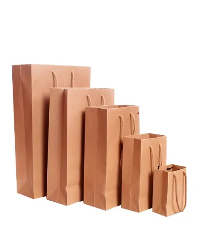 Paper Shopping Bag Printing | Professional Paper Shopping Bag