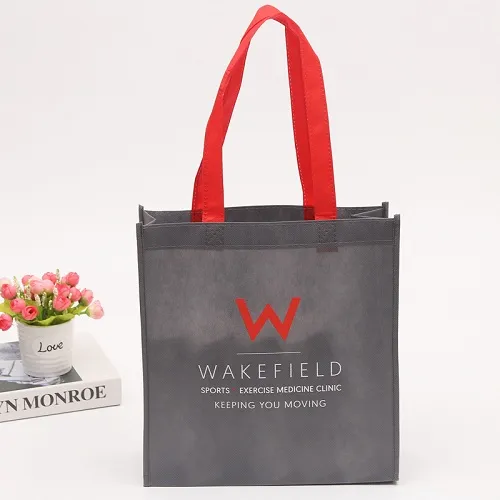 About the Introduction of Non Woven Bags