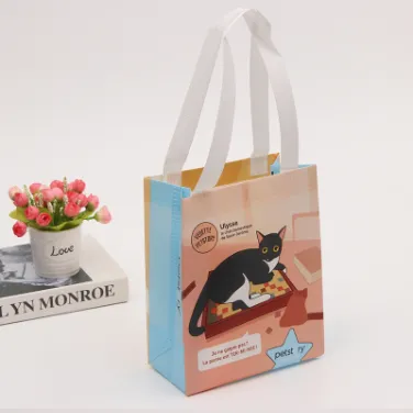 Laminated Non Woven Bag | Spunbond nonwoven performance