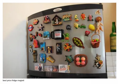 best price fridge magnet introduction