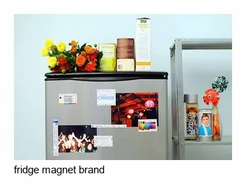 Magnetic fridge magnet