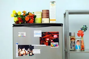 Labas kvalitātes ledusskapja magnēts, magnēta foto rāmji ledusskapim