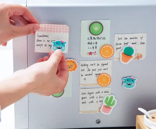 Feature introduction of fridge magnet products