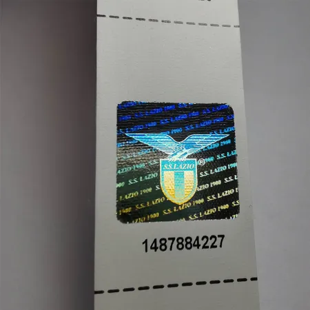 3D Hologram Stereogram