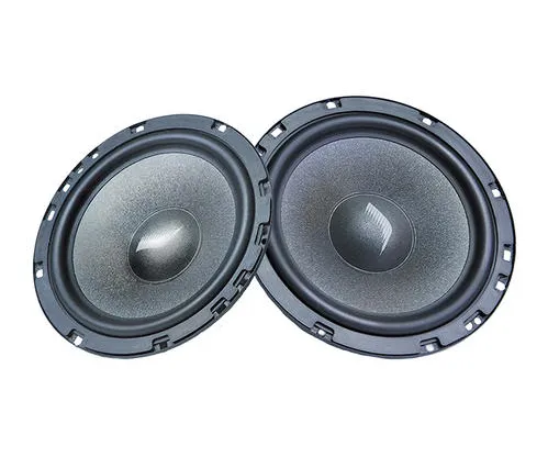 Oem Subwoofer Speaker | Odm Subwoofer Speaker