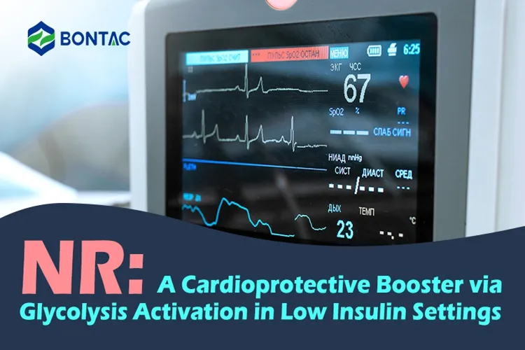 NR: A Cardioprotective Booster via Glycolysis Activation in Low Insulin Settings