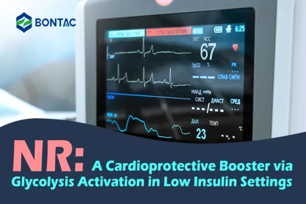 NR: A Cardioprotective Booster via Glycolysis Activation in Low Insulin Settings