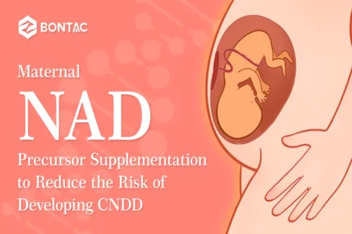 Suplementace prekurzorů NAD u matek ke snížení rizika vzniku CNDD