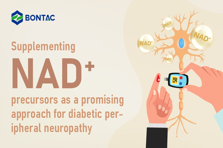 Supplementing NAD+ precursors as a promising approach for DPN