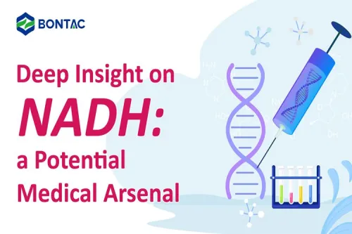 Deep Insight on NADH: a Potential Medical Arsenal
