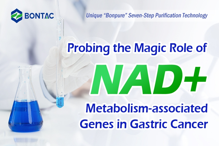 Probing the Magic Role of NAD+ Metabolism-associated Genes in Gastric Cancer