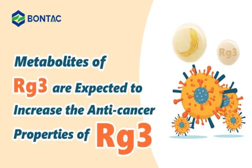 Tikimasi, kad Rg3 metabolitai padidins Rg3 priešvėžines savybes