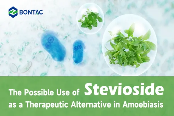 The Possible Use of Stevioside as a Therapeutic Alternative in Amoebiasis