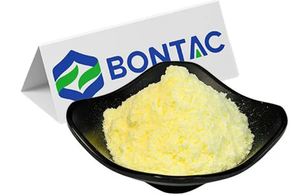 新陳代謝を高めるサプリメントの力を解き放つ:BONTACによるガイド