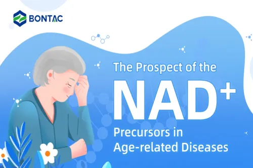 A NAD+ prekurzorok kilátása az életkorral összefüggő betegségekben