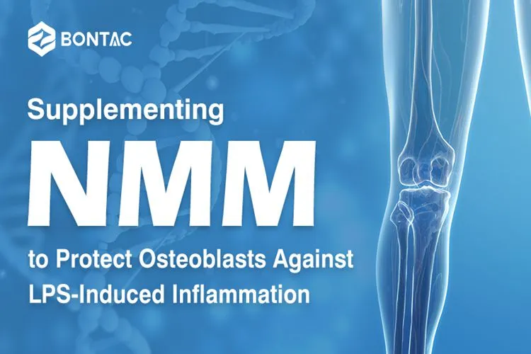 Supplementing NMN to Protect Osteoblasts Against LPS-Induced Inflammation