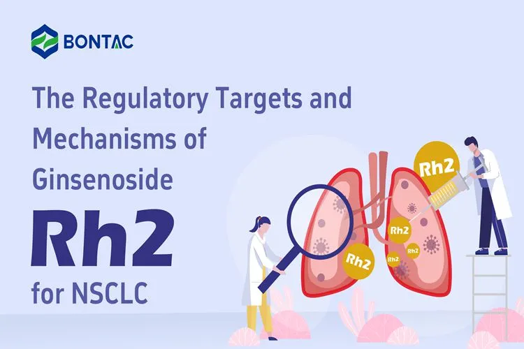 The Regulatory Targets and Mechanisms of Ginsenoside Rh2 for NSCLC