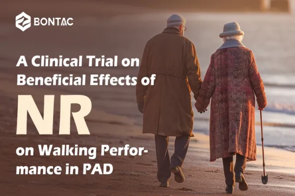 A Clinical Trial on Beneficial Effects of NR on Walking Performance in PAD