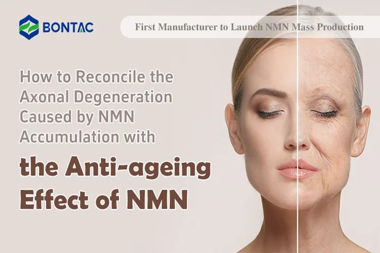 How to Reconcile the Axonal Degeneration Caused by NMN Accumulation with the Anti-ageing Effect of NMN