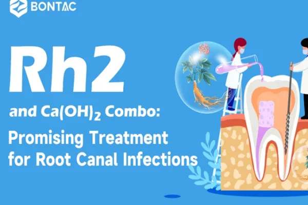 Rh2 and Ca(OH)2 Combo: Promising Treatment for Root Canal Infections