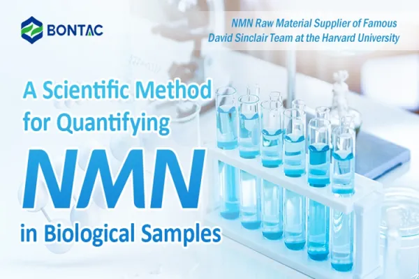 Mokslinis NMN kiekybinio nustatymo biologiniuose mėginiuose metodas