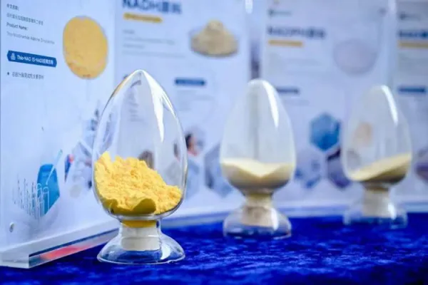 健康と活力を高める:BONTACの新陳代謝促進製品ポートフォリオ