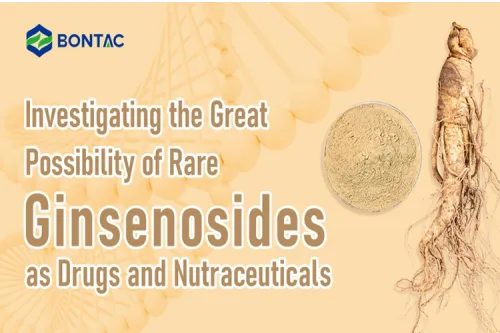 Investigating the Great Possibility of Rare Ginsenosides as Drugs and Nutraceuticals