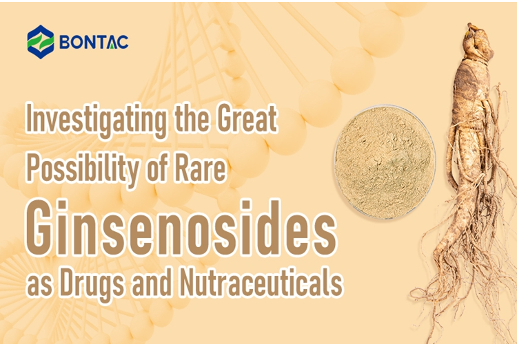 Investigating the Great Possibility of Rare Ginsenosides as Drugs and Nutraceuticals