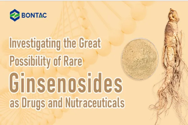 Investigating the Great Possibility of Rare Ginsenosides as Drugs and Nutraceuticals