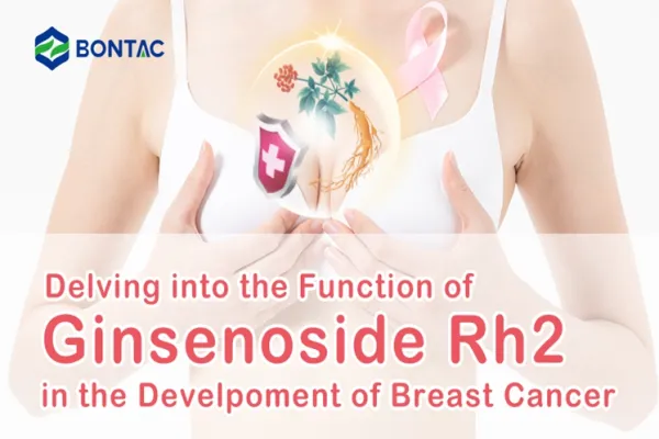 Delving into the Function of Ginsenoside Rh2 in the Develpoment of Breast Cancer