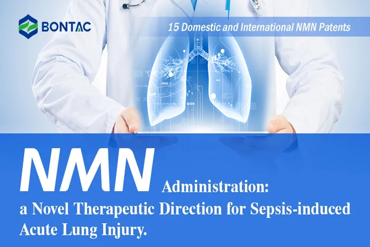 NMN Administration: a Novel Therapeutic Direction for Sepsis-induced Acute Lung Injury