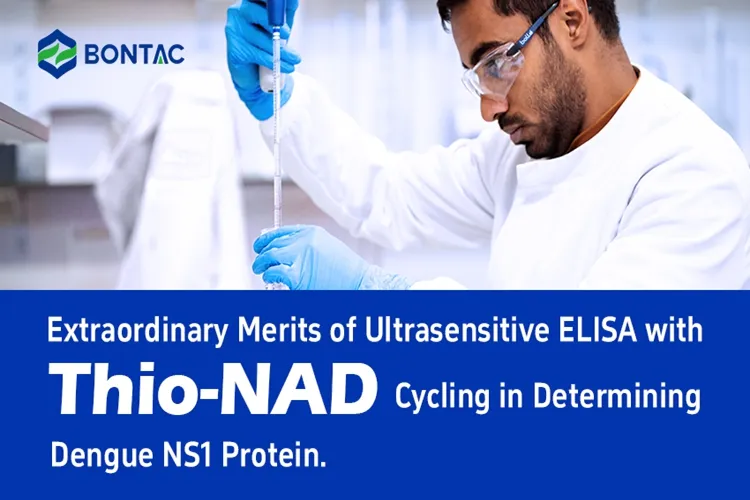 Izjemne prednosti ultrasenzitivne ELISA s cikliranjem tio-NAD pri določanju beljakovine denga NS1