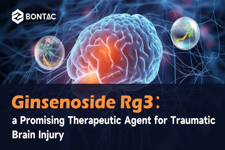 Ginsenoside Rg3: A Promising Therapeutic Agent for Traumatic Brain Injury